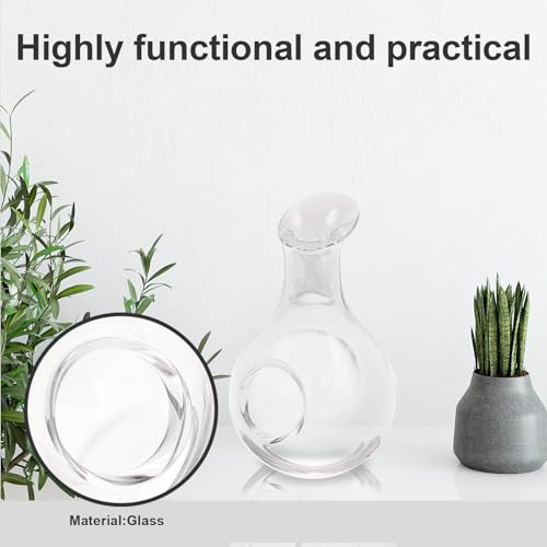 ANDRESLAD Carafe en Verre 385 Ml Cavité pour Glaçons Pichet à Vin et Whisky Distributeur de Vin Rapide Carafe à Décanter pour Usage Personnel et Professionnel Design Japonerie