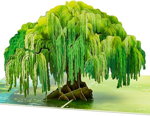 POPWOW Willow Tree Pop Up Card, 3D Greeting Card, Thinking of You Gift for Mom, Mother, Grandma, Wife, Birthday, Mother's Day, Anniversary, 5x7, Includes Envelope and Message Note