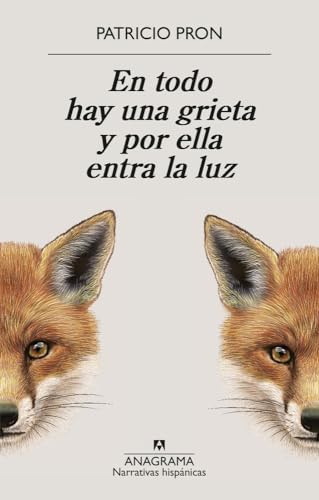 En todo hay una grieta y por ella entra la luz (Narrativas hispánicas)