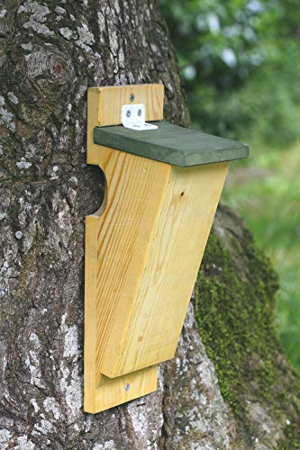 CJ Wildlife Nistkasten Baumläufer – Vogelnistkasten für draußen wetterfest – aus FSC® Holz – optimierter Einstieg vom Baumstamm – clevere Drainage gegen Feuchtigkeit