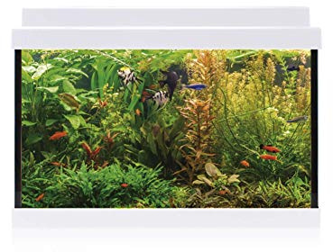 ICA Kit interior Aqualed 20 White, 20 L, 40,7 x 29,2 x 20,2 cm