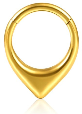 DOEARKO Septum Piercing Ring 316L Chirurgenstahl Helix Daith Tragus Conch Cartilage Septum Clicker Hinged Segmentring Piercing Schmuck