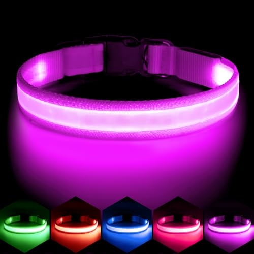 VIZPET LED Dog Collar, Light Up Dog Collar Adjustable USB Rechargeable Super Bright Safety Light Glowing Collars for Dogs (Purple, Large[18.89-23.62 inch/48-60cm])