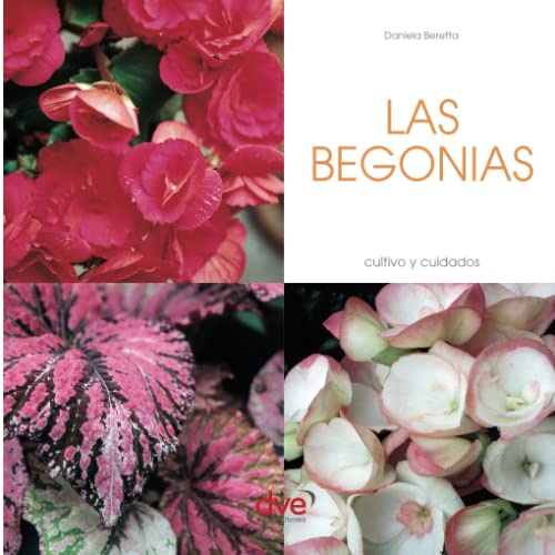 Las Begonias