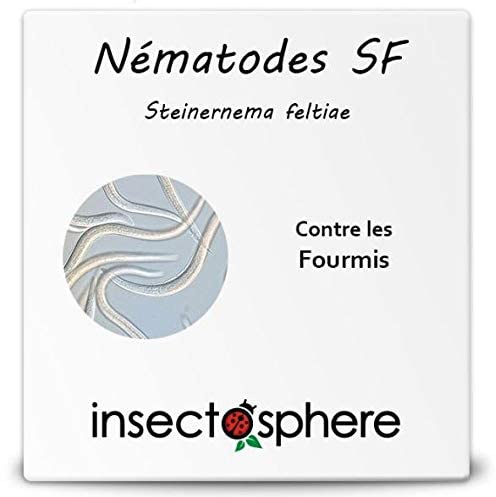Nématodes Sf contre les fourmis. Sachet de 5 Millions pour traiter 5 fourmilières. Traitement bio et naturel.