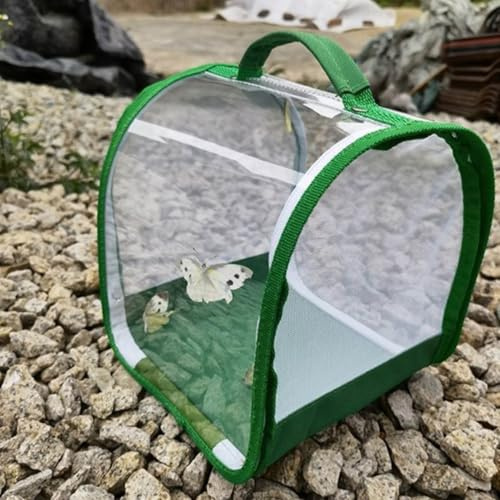 Schmetterlingszucht-Set Für Kinder/Erwachsene | Heimische Schmetterling Züchten | Insekt Und Schmetterling Habitat Käfig Terrarium Schutz Käfig | Raupenzucht Klein Ab 3 Jahren, Grün