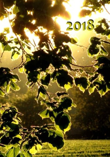 Kalender 2018 - Blätter in der Abendsonne: DIN A5, 1 Woche auf 2 Seiten, Platz für Adressen und Notizen