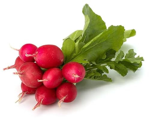 Semillas de rábano rosa (50 unidades)