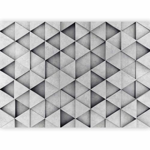 Fotomurales B&D XXL - 350x256 cm XXL Papel pintado tejido no tejido Decoración de Pared decorativos Murales moderna Diseno Fotográfico Hormigon 3D Tranquilo f-B-0073-a-b