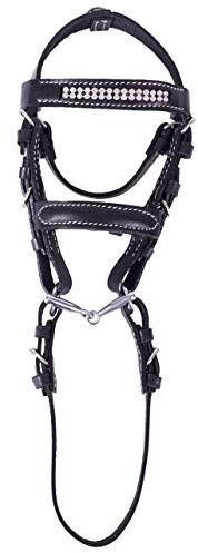 qhp minitrense miniatura Bocado piel negro brillantes, Dentadura, riendas, varios diseños