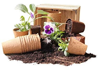 Gardening Naturally Biodegradable Peat Free Wood Fibre Plant Pots Plant into Garden 8cm Diameter Pack of 48