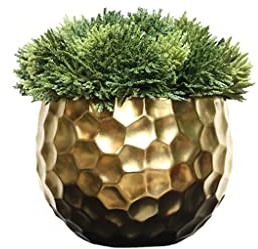 SBCGFY Artificial Trees Simulation Bonsai Thuja Leaf Green Plant Golden Flower Device Home Living Room Office Desktop Potted Small Ornaments Fake Tree for Living Room