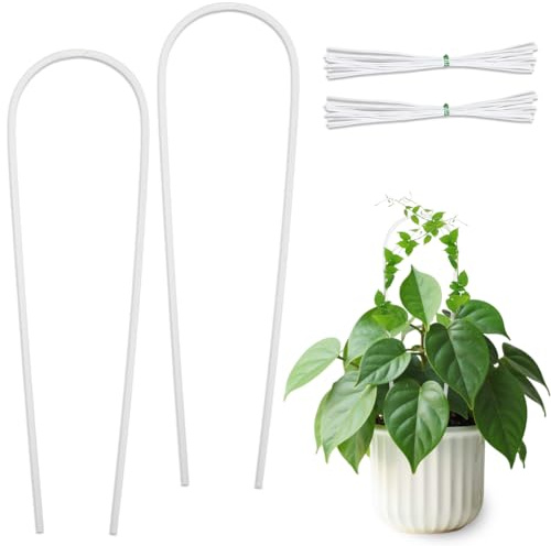 DICOSMETIC 2 Stück Acryl Topfpflanzen Trellis U Förmiges Pflanzen Trellis Transparent Kleine Zimmerpflanzen Pflanzenregal Mit 20 Stück Bindeschnüren Für Weinreben Efeu Hoya Zimmerpflanzen Blumenzucht