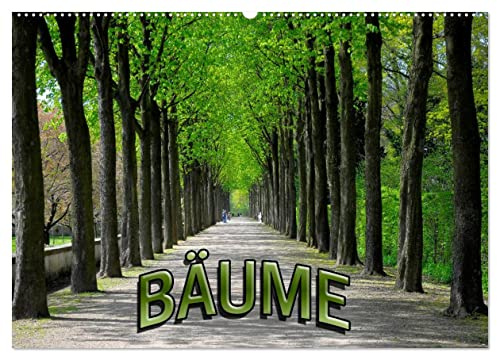 Bäume 2026 (Wandkalender 2026 DIN A2 quer), CALVENDO Monatskalender: Monatskalender mit 13 Motiven (CALVENDO Natur)