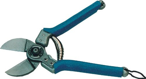 Forbici FruttetoDue Buoi Art.135 Cm.20