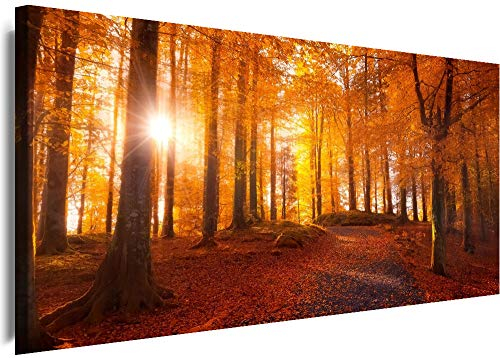 Myartstyle - Bilder Panorama 120x45cm - Leinwandbild 1 Teilig - XXL Wandbild Herbst Wald Kunstdrucke Natur Landschaften w-1p-s222-39