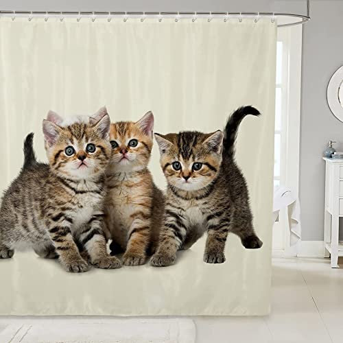 Duschvorhang 200x200 Beige Muschi Duschrollo Wasserabweisend Anti-Schimmel mit 12 Duschvorhangringen, 3D Bedrucktshower Shower Curtains, für Duschrollo für Badewanne Dusche