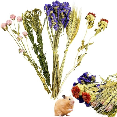 PINVNBY Natürliche Blumen & Kräuter Hamster Bettwäsche Lebensraum Dekor Meerschweinchen Bettwäsche Hamster Sprays Hamsterkäfig Zubehör für Meerschweinchen Zwerg Syrische Rennmäuse Mäuse Maus Ratte