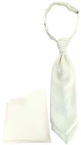 TigerTie Designer Plastron Pique 2tlg Krawatte fertig gebunden Einstecktuch in creme uni gemustert