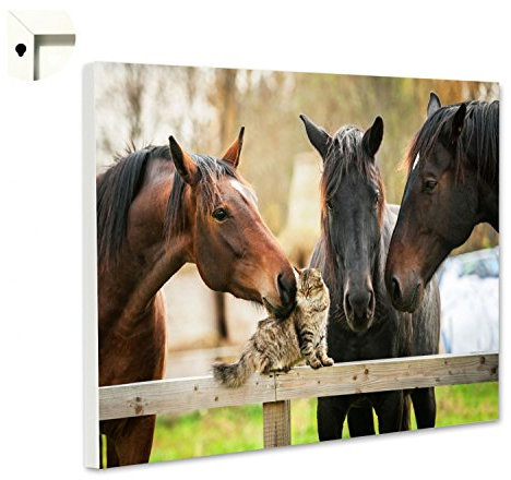 Magnettafel Pinnwand Memoboard Tiere Pferde Katze Größe 60 x 40 cm