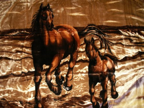 Kuscheldecke Tagesdecke Decke Motiv Pferd mit Fohlen braun 160x200cm