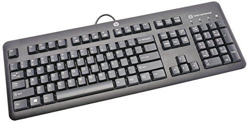 HP USB SmartCard CCID Keyboard - Teclado (USB, Alámbrico, PC/Server, Estándar, Derecho, Negro, Plata)
