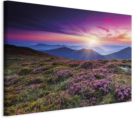 murando - Wandbilder XXL Landschaft Wiese Leinwandbild 1 tlg Kunstdruck modern Wanbilder XXL Wanddekoration Design Wand Bild Gebirge Natur Fuchsie Feld Sonnenaufgang c-B-10005-b-a