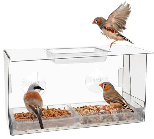 Junterone Window Bird Feeder. Birds Feed Without Disturbing While You Watch. Innovative Window Feeders with Powerful Suction Cups
