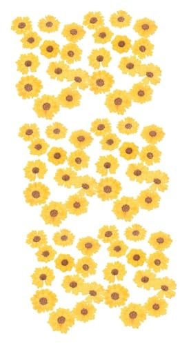 COHEALI 72 STK DIY Prägung Scrapbook scheckheft Trockenblumen zum Basteln getrocknete selber Machen gepresstes Blumenmaterial gepresste selber Machen Serpentinen-Chrysantheme