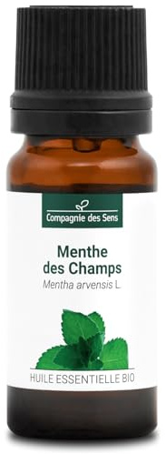 MENTA DEI CAMPI (Mentha arvensis) BIO - 10mL - Olio Essenziale di Qualità Premium - 100% Puro, Naturale, Chemiotipizzato e Integrale