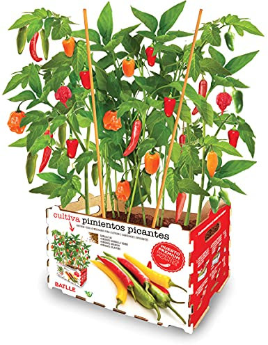 Batlle Vergers Haut de Gamme - Mélanger des piments forts, Assortis