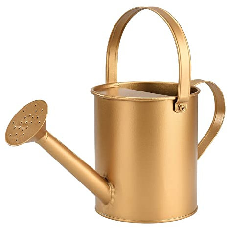 Arrosoir Vintage en Bronze for Plantes, Couvercle for arrosage des Plantes, pulvérisation d'eau, Jardinage, Maison et Jardin (Color : Bronze)