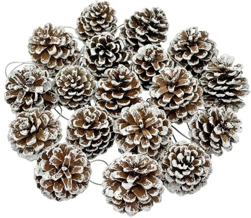 24 Stück Tannenzapfen, Natürlicher Tannenzapfen Deko mit Seil, 3-4cm Schnee Zapfen Kiefernzapfen zum Basteln, Weihnachtsdeko, Adventkränze, Christbaumschmuck