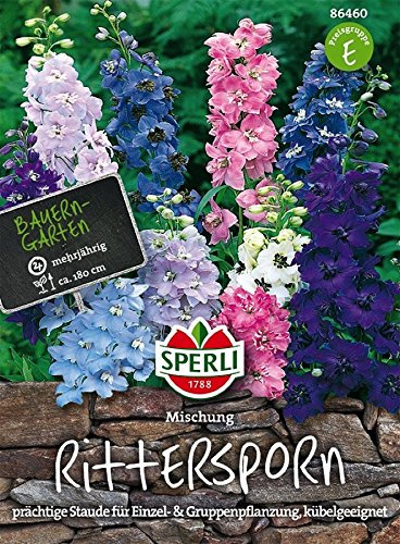 Rittersporn, Pacific Mischung