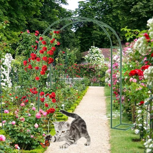 Arche de jardin pour plantes grimpantes et roses – Treillis métallique en acier 80–350 cm – Décoration de mariage, fête, tonnelle de jardin verte pour paysage extérieur