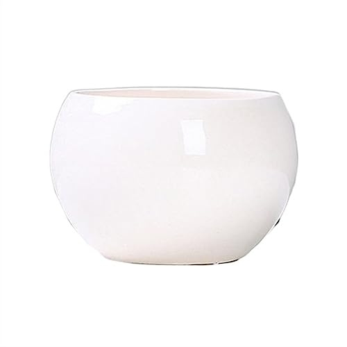 ZZlei2yu-12 Maceteros Decorativos Macetas Redondas de cerámica pequeñas macetas Flores Color sólido Redondo Suministros jardín maceteros con Agujeros Drenaje suculentas(Blanco)