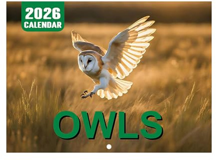 Eulenkalender 2026, 28,5 x 21 cm, Jahresplaner, 12-Monatsplaner, persönliches Zeitplaner-Management-Tool, Büro-Schreibtischbedarf für Aufgaben, Ziele, Termine, Urlaubsplanung, Zeiterfassung, täglich