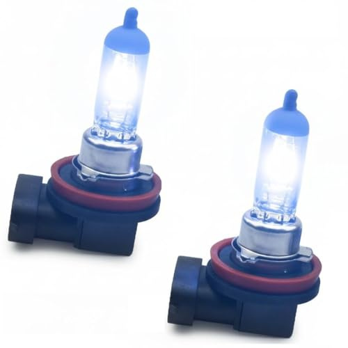 2x H11 55W Xenon Style Lampen für Nebelscheinwerfer, Halogen Birne, Xenon Look 6, Zugelassen!