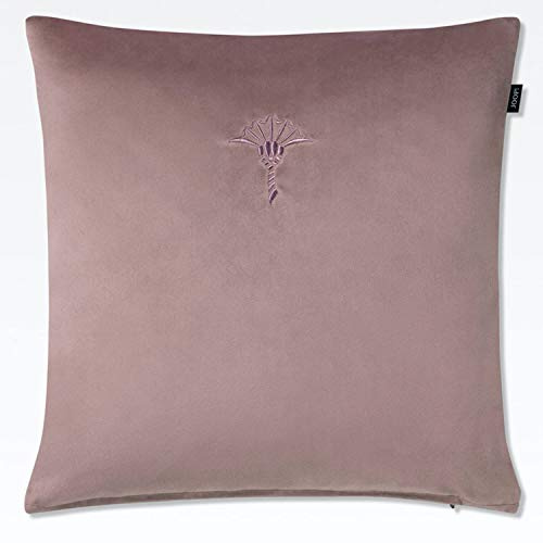 Joop! Kissenhülle Cozy 70447 Zierkissen Kissenbezug Kornblume Pillowcase, Größe:40 x 40 cm, Farben:Rose