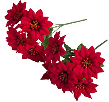 Botanic-Haus künstliche Poinsettie/Poinsettienbusch mit 5 Blüten, samtig Farbe: rot (2 Stück)