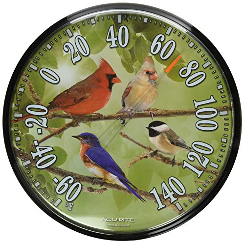 AcuRite 01781 12.5-Inch Wall Thermometer, Songbirds