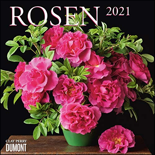 Rosen 2021 ‒ Broschürenkalender ‒ Format 30 x 30 cm