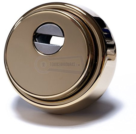 ESCUDO DE SEGURIDAD DISEC ROK ANTIGANZÚA Y ANTITALADRO. DORADO. BD280 29D1MR