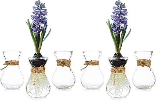 Kleine Vasen Für Tischdeko 6er, Hewory Vase Glas Blumenvase Klein Glasvase Mit Schnurseil, Mini Vasen Set Hydroponik Glasvasen Für Wohnzimmer Deko Modern Hochzeitsdeko Tisch Transparent