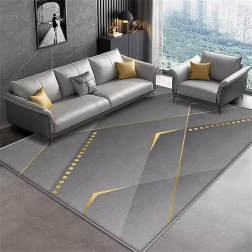 RUGMRZ Moderne Wohnzimmerdekoration Stuhl-Kissen Rechteckiger Grauer Esszimmerteppich, Schlafzimmerteppich, Maschinenwaschbar Ästhetisches Schlafzimmer 200X300Cm 6Ft 6.7''X9Ft 10.1''