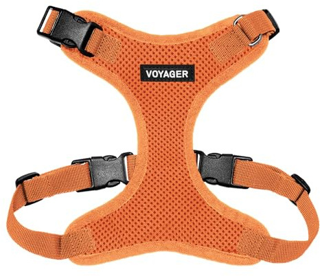 Best Pet Supplies Voyager Step-in Lock husdjurssele – alla vädernät, justerbar sele för katter och hundar, orange (matchande trim), XS (byst: 28–40 cm passar katter)