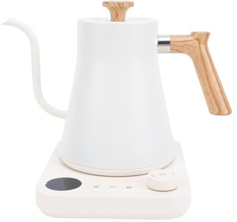 Bouilloire d'électricité, Acier Inoxydable, Contrôle de Température ± 1 ° F, 1200W, écran LCD, Minuterie, Maintien au Chaud, Adhérence Confortable, capacité de 0,9 L, Vert (Plug