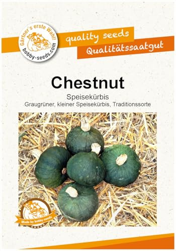 Chestnut Kürbissamen von Bobby-Seeds, Portion