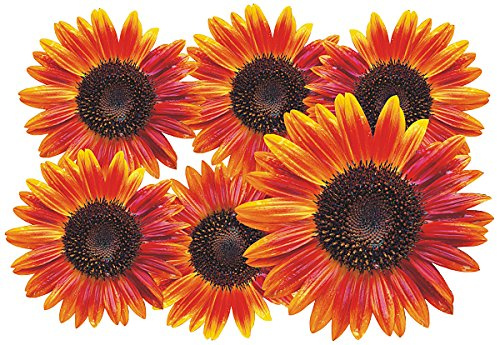aufgeklebt.de Mini Autoaufkleber, Blumendesign: Flower Set 12-Mini-36 Stück