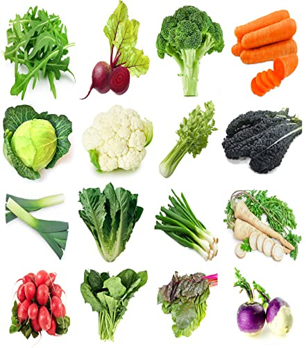Winter Vegetable Seeds Variety Pack, 16 Heirloom Seed Kit, 6500+ Seeds, Arugula, Beet, Broccoli, Cabbage, Cauliflower, Carrot, Celery, Chard, Kale, Leek, Lettuce, Radish, Scallion, Spinach